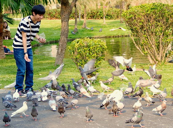 El parque del centro de Chiang Mai.