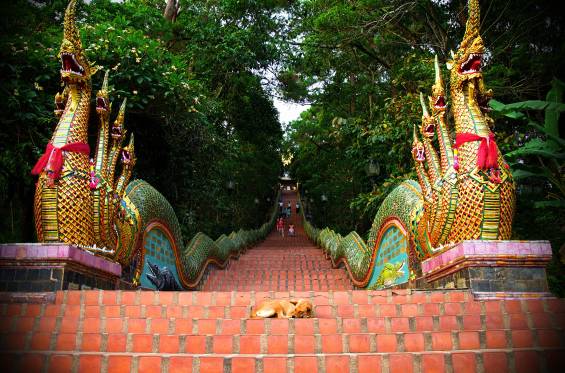 Templo Doi Suthep en Chiang Mai