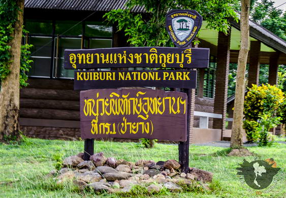 Trabajo voluntario en el Parque Nacional Kui Buri