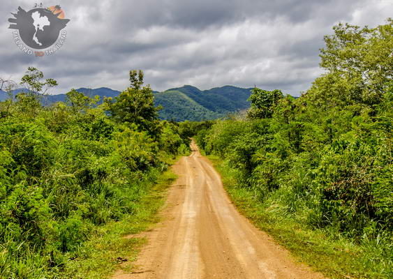 Trabajo voluntario en el Parque Nacional Kui Buri