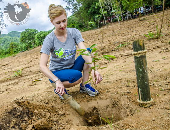 Trabajo voluntario en el Parque Nacional Kui Buri