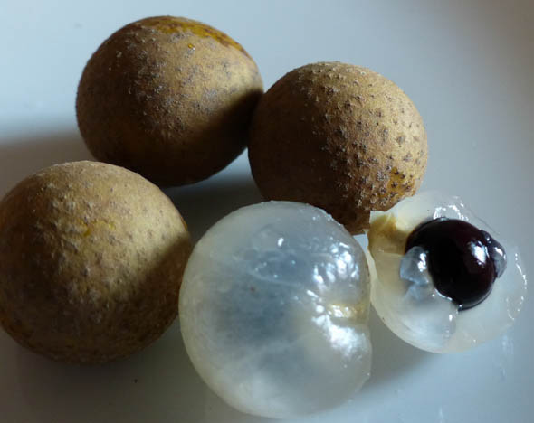 Longans exuberantes (Lam Yai)