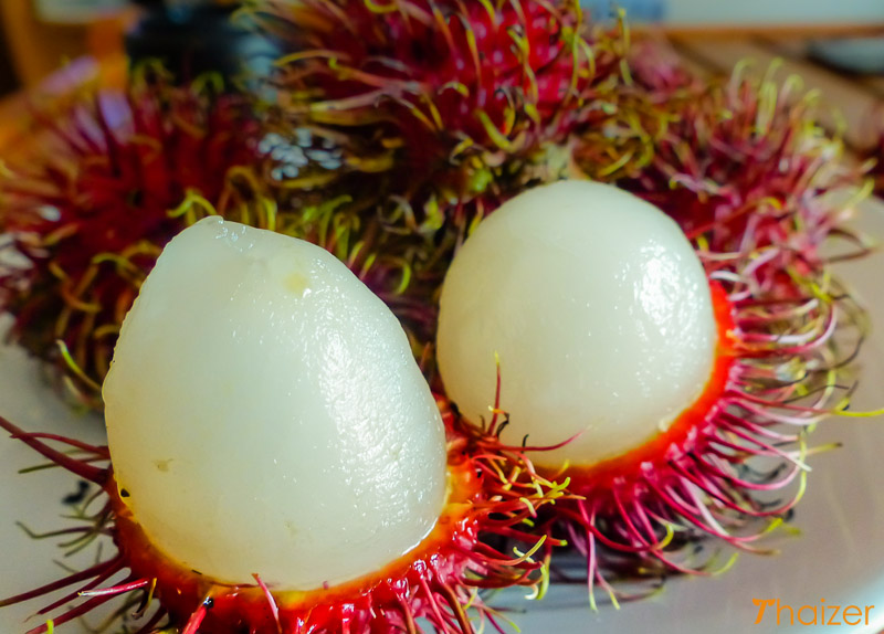 Rambután: El fruto rojo peludo