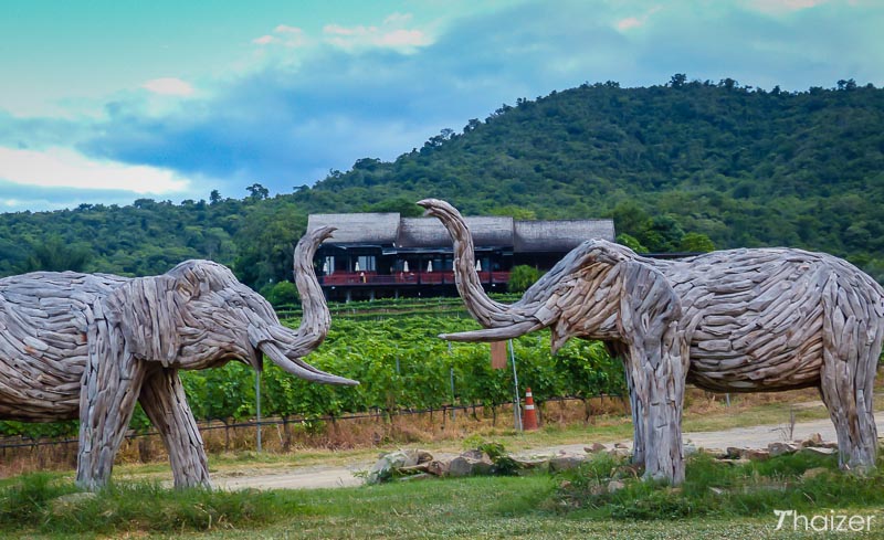 Viñedo Hua Hin Hills (Valle del Monzón) Viñedo Hua Hin Hills (Valle del Monzón)