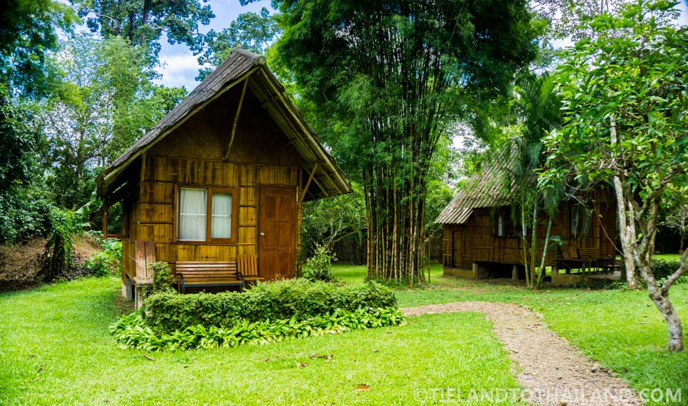 Un viaje al Nido de Chiang Dao en el norte de Tailandia
