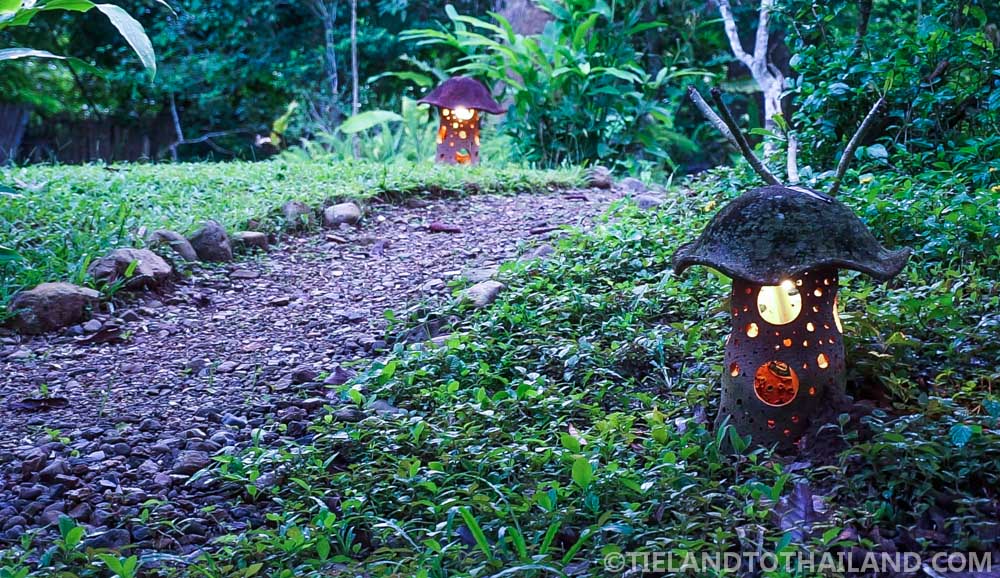 Un viaje al Nido de Chiang Dao en el norte de Tailandia