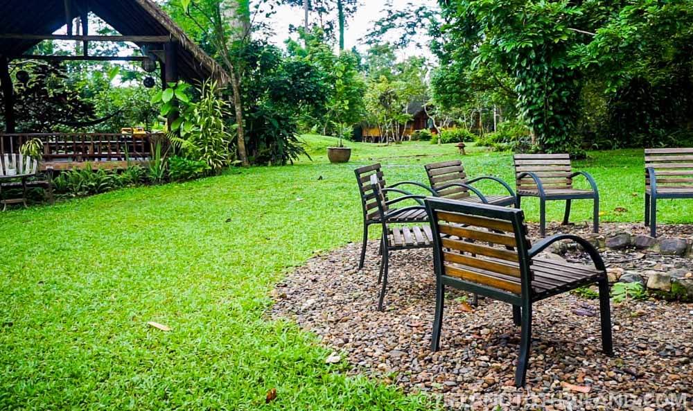 Un viaje al Nido de Chiang Dao en el norte de Tailandia