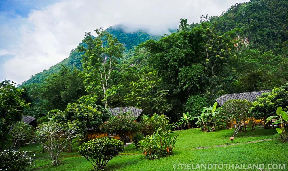 Un viaje al Nido de Chiang Dao en el norte de Tailandia