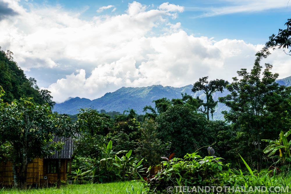 Un viaje al Nido de Chiang Dao en el norte de Tailandia