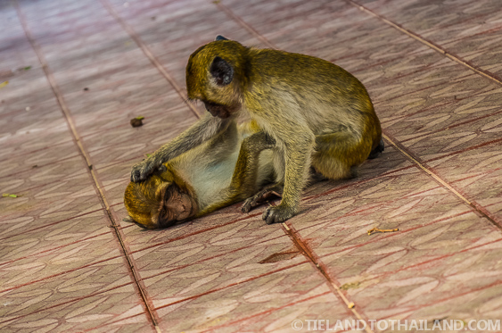 9 mitos sobre Tailandia que preocupan a tu familia