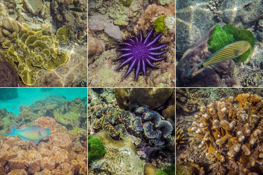 Una maravillosa experiencia de snorkel en Koh Lanta