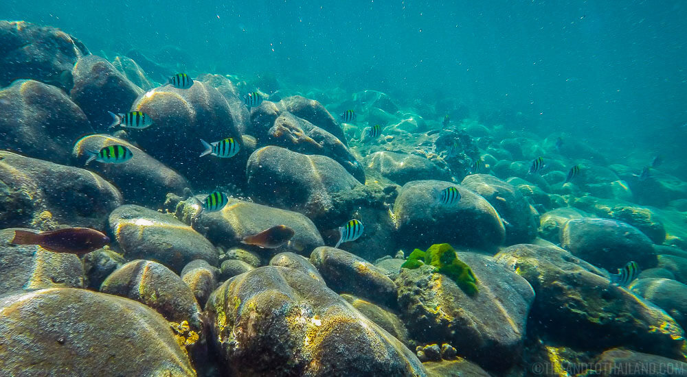 Una maravillosa experiencia de snorkel en Koh Lanta