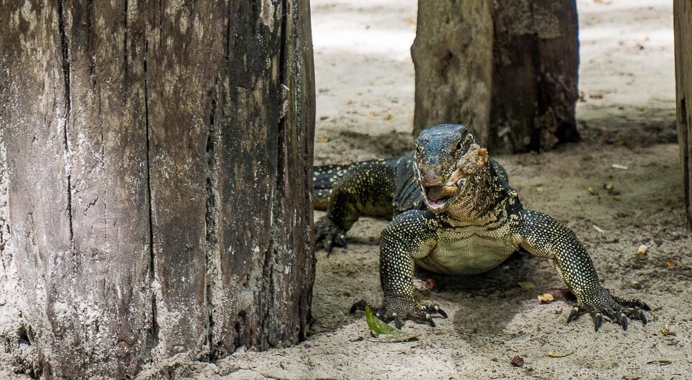 Una maravillosa experiencia de snorkel en Koh Lanta