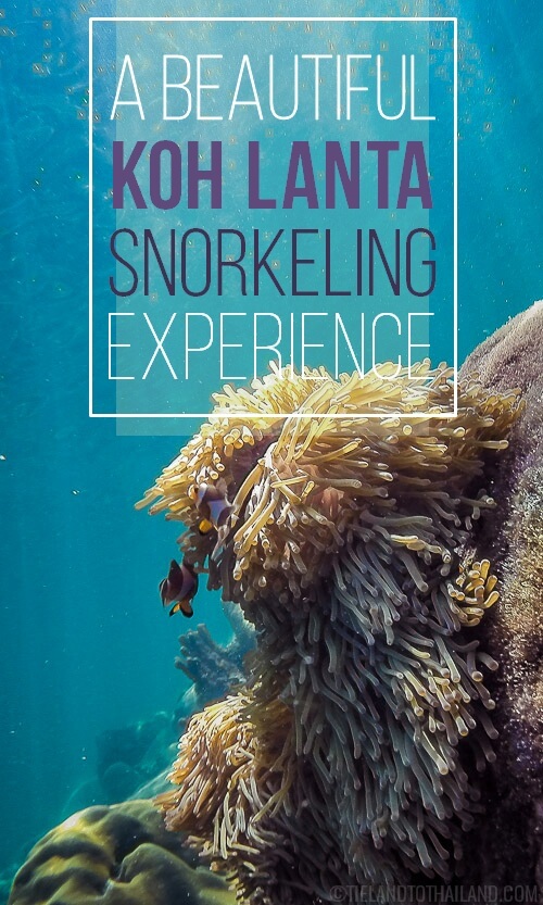 Una maravillosa experiencia de snorkel en Koh Lanta