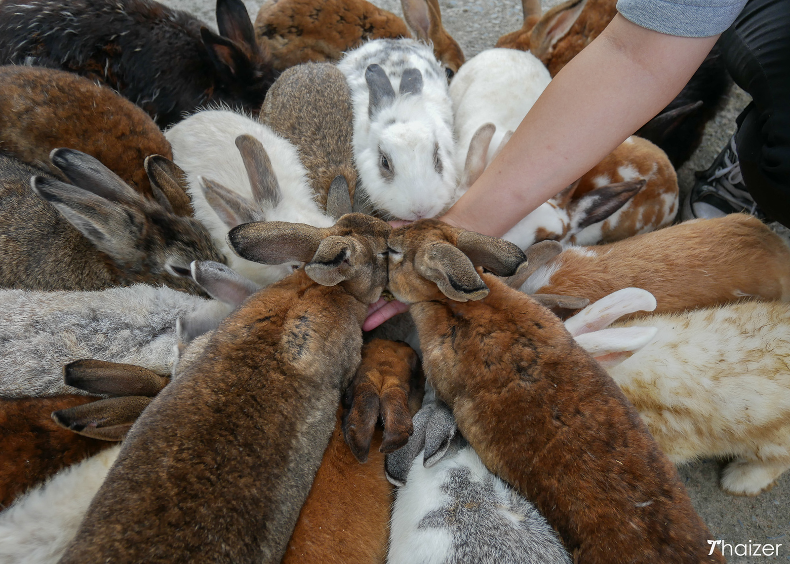Sabai Sabai en Khao Yai