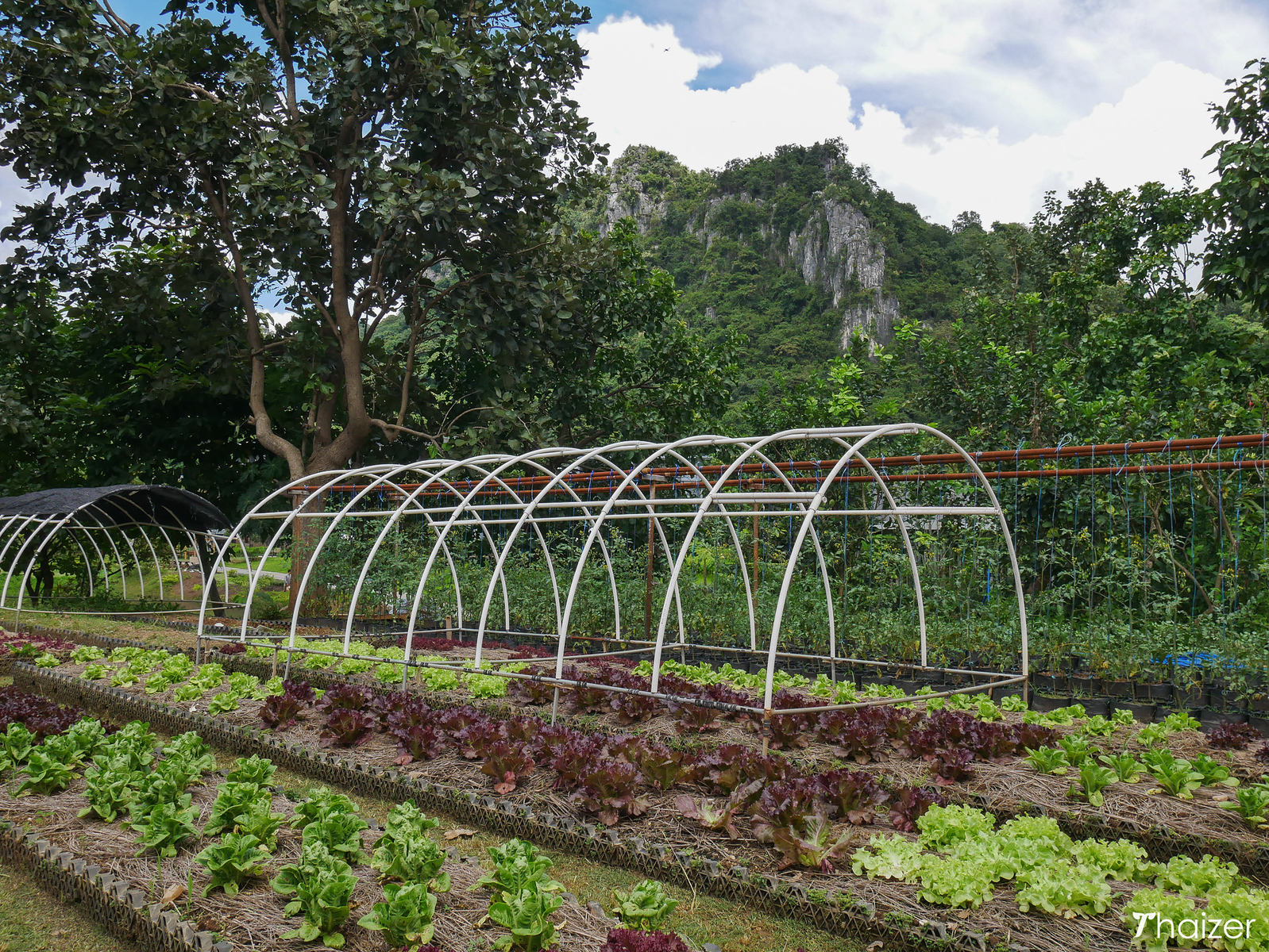 Sabai Sabai en Khao Yai