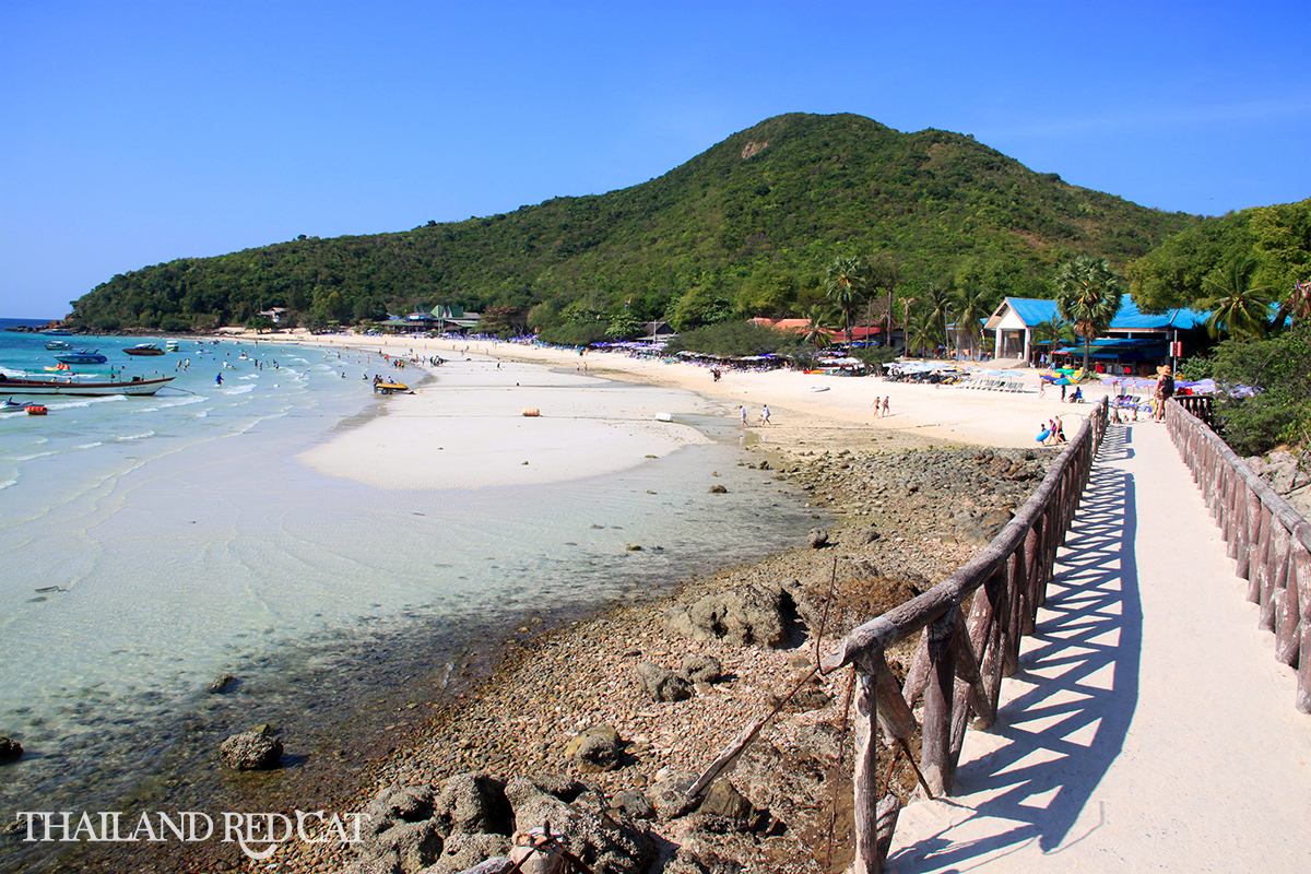 Excursión de un día a Koh Larn desde Pattaya Excursión de un día a Koh Larn desde Pattaya