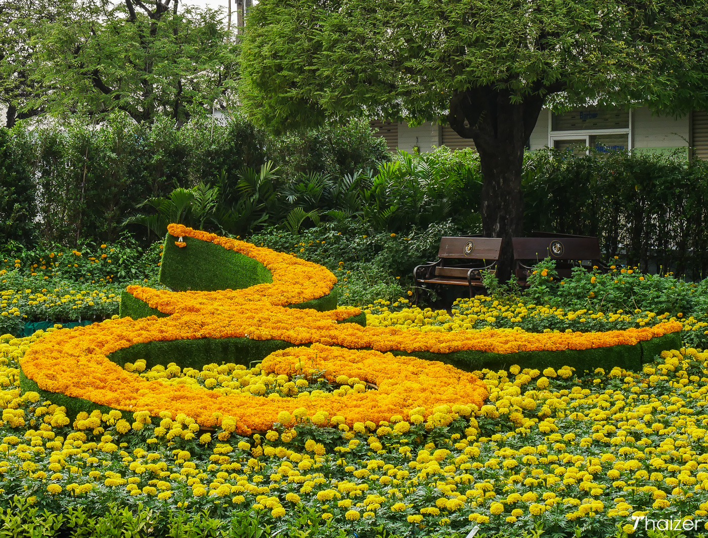 Tailandia da el último adiós a su padre real