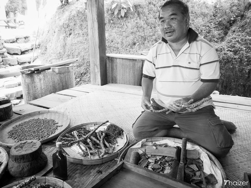 Mae Kampong Casa de familia y pueblo ecoturístico, Chiang Mai