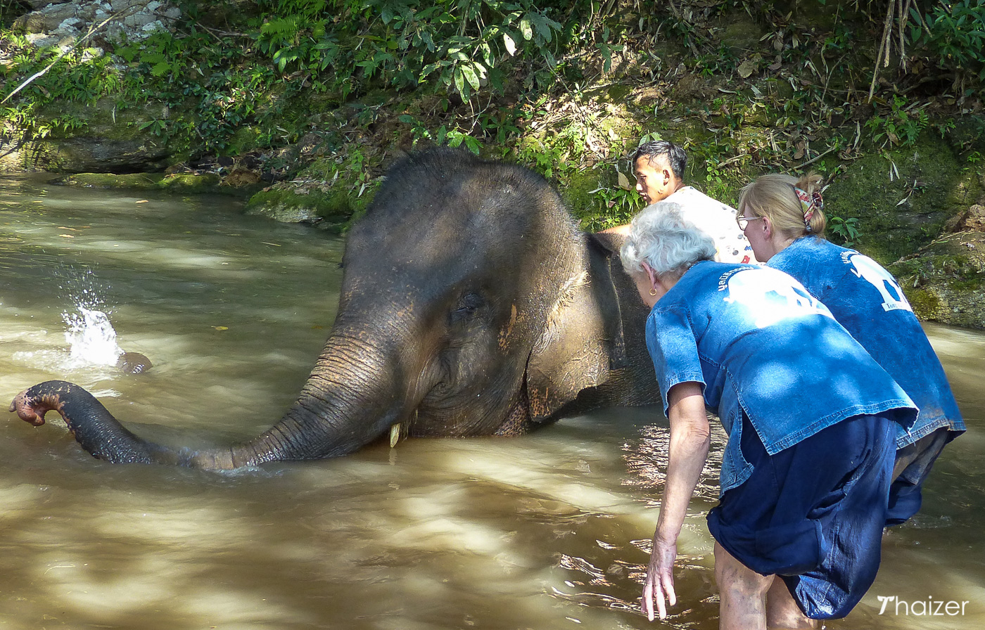 Visita a la Fundación Tong Bai Elephant, Chiang Mai.