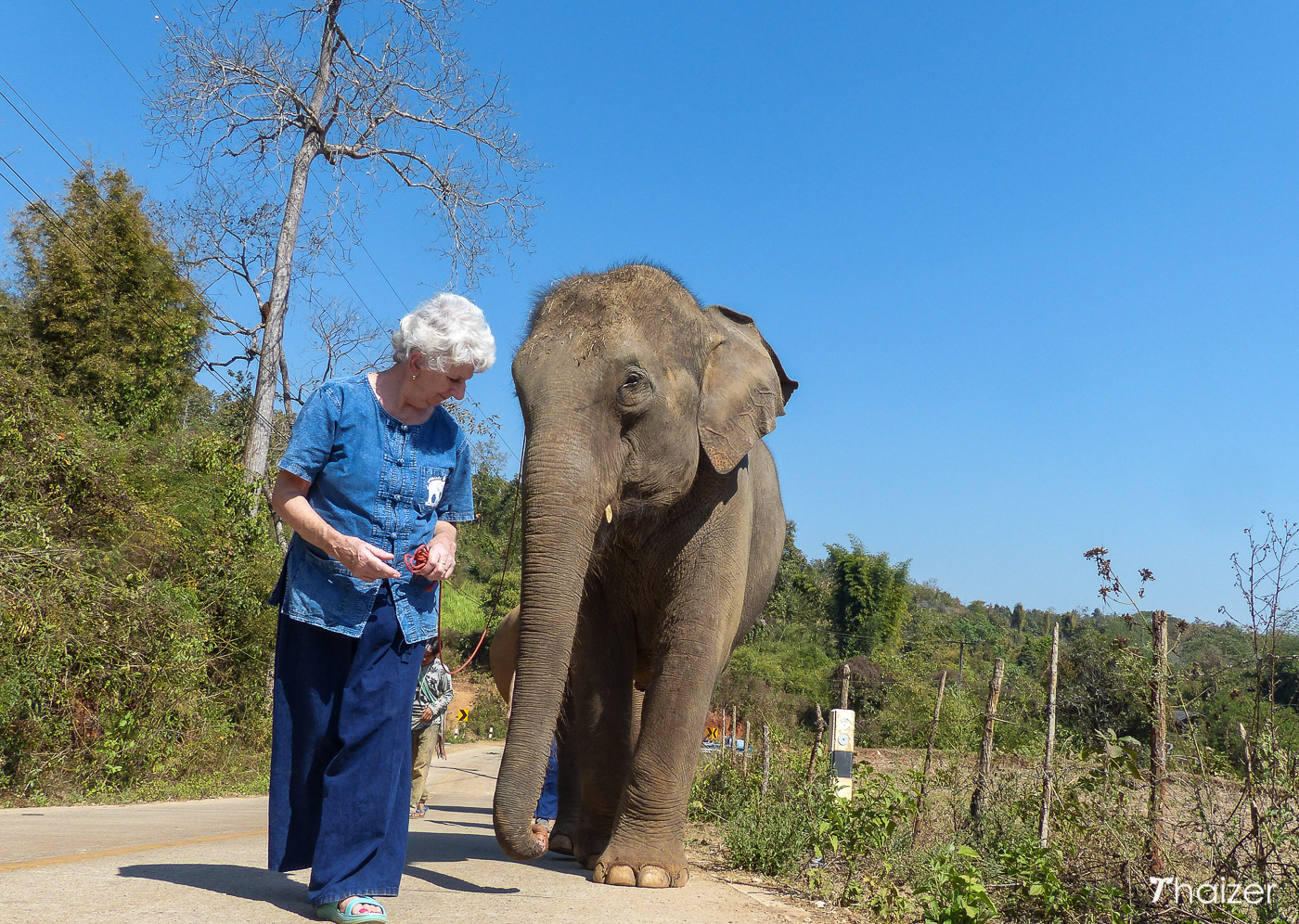 Visita a la Fundación Tong Bai Elephant, Chiang Mai.