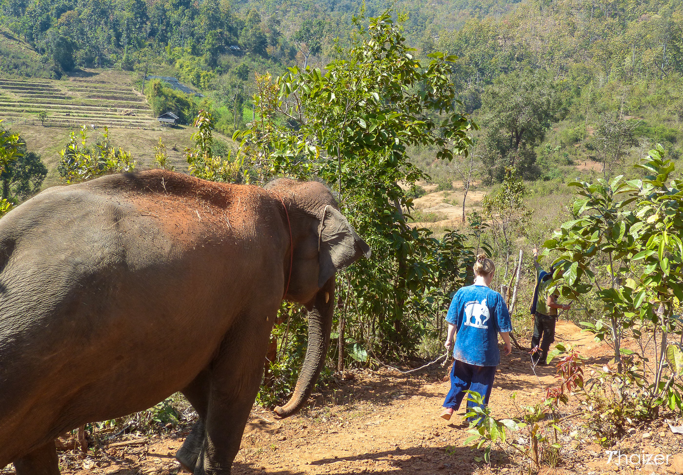 Visita a la Fundación Tong Bai Elephant, Chiang Mai.