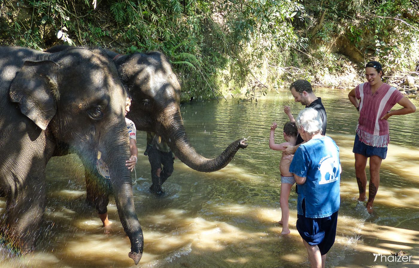 Visita a la Fundación Tong Bai Elephant, Chiang Mai.