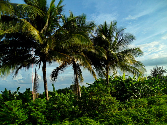 De Hua Hin a Bangkok en tren de tercera clase
