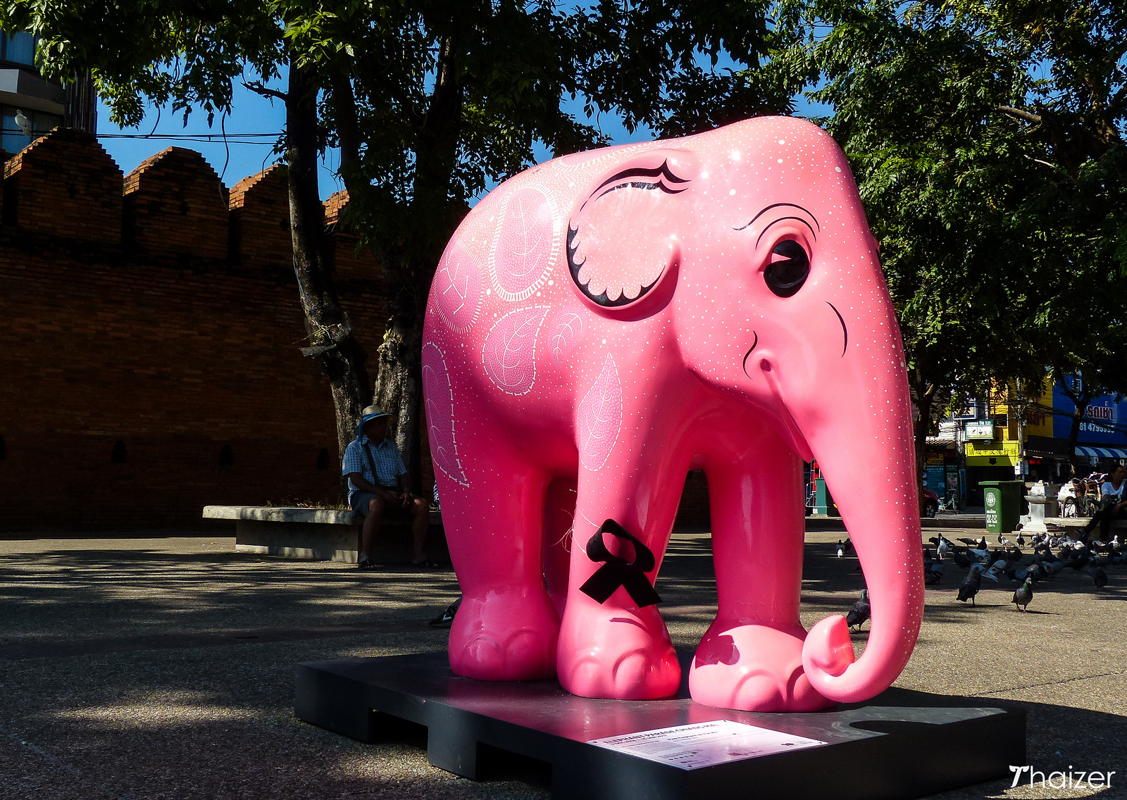 Desfile de elefantes en Chiang Mai