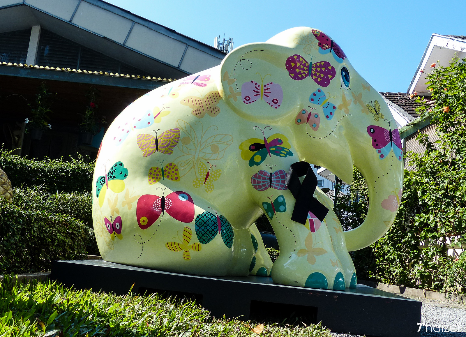 Desfile de elefantes en Chiang Mai