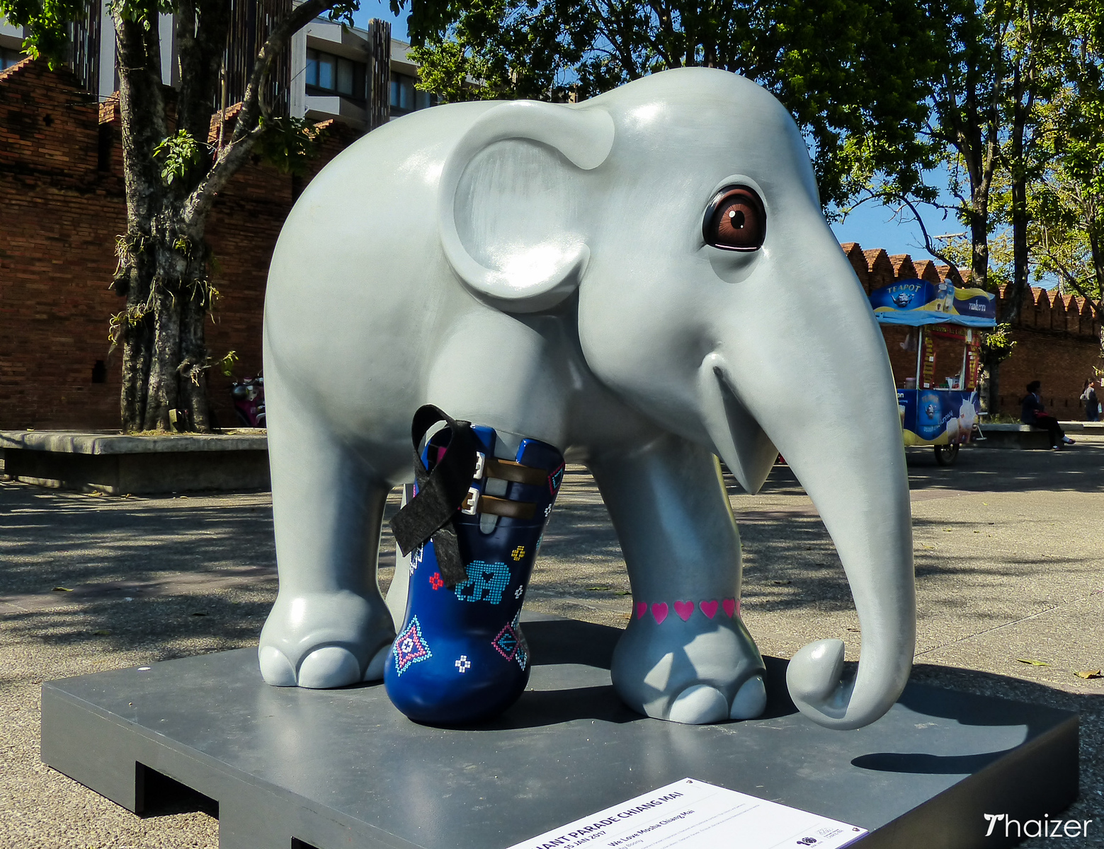 Desfile de elefantes en Chiang Mai