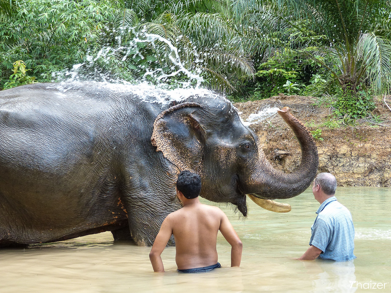 Encuentros éticos con elefantes en Khao Sok Encuentros éticos con elefantes en Khao Sok