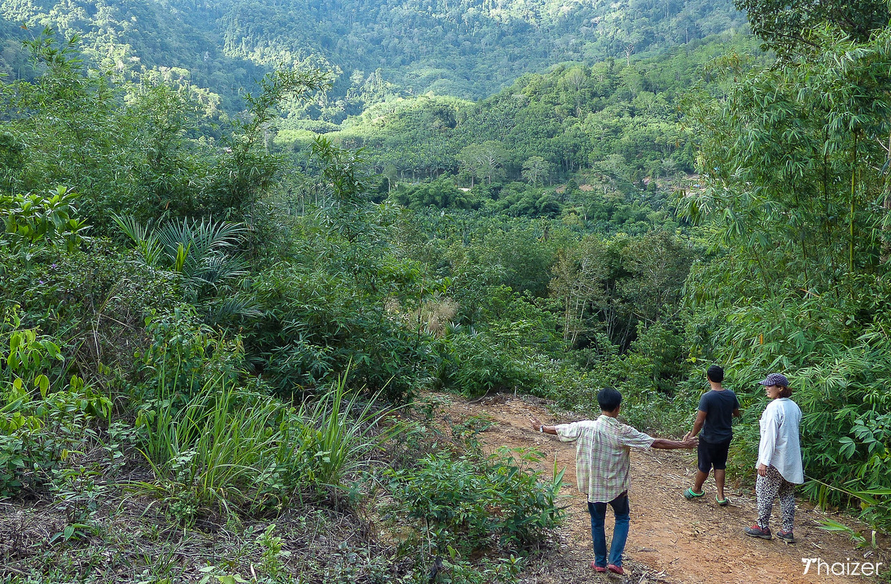 Encuentros éticos con elefantes en Khao Sok Encuentros éticos con elefantes en Khao Sok