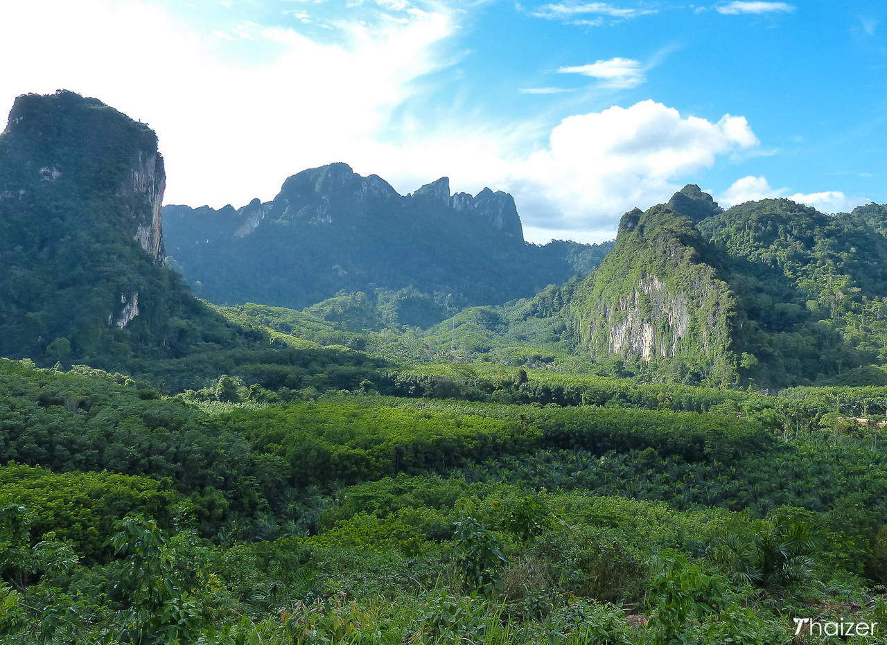 Encuentros éticos con elefantes en Khao Sok Encuentros éticos con elefantes en Khao Sok