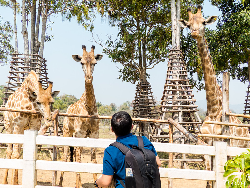 Parque Singha (Granja Boon Rawd), Chiang Rai
