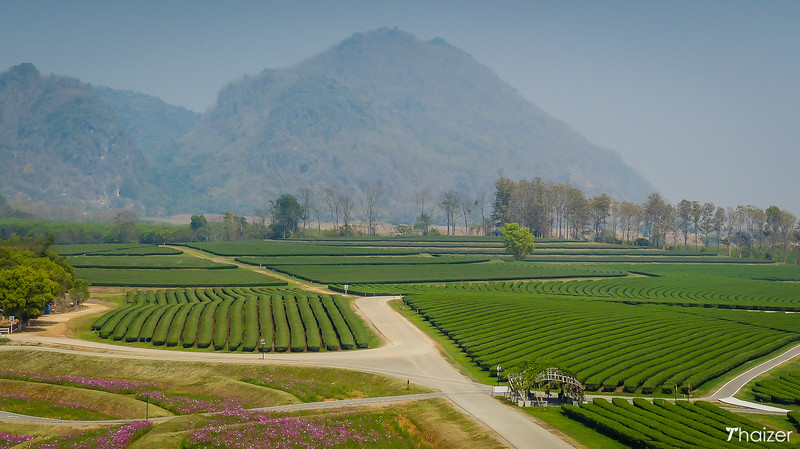 Parque Singha (Granja Boon Rawd), Chiang Rai