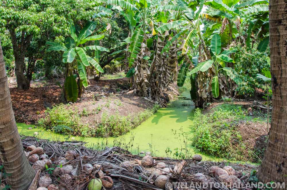 Viaje de fin de semana a Samut Songkhram Viaje de fin de semana a Samut Songkhram