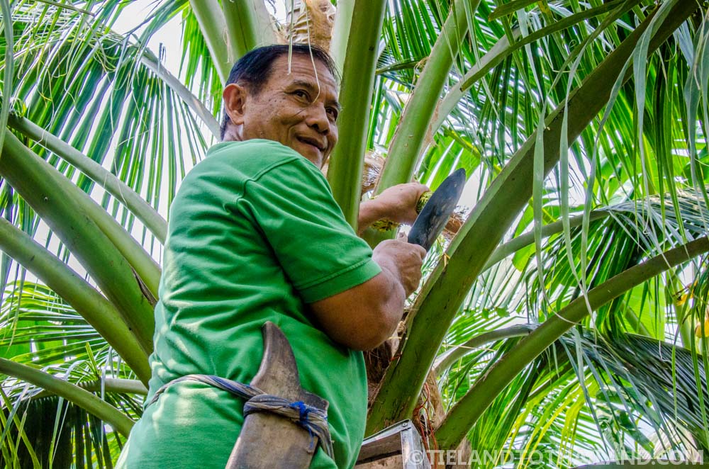 Viaje de fin de semana a Samut Songkhram