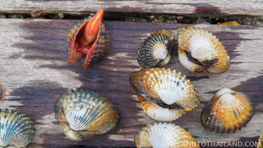 Viaje de fin de semana a Samut Songkhram Viaje de fin de semana a Samut Songkhram