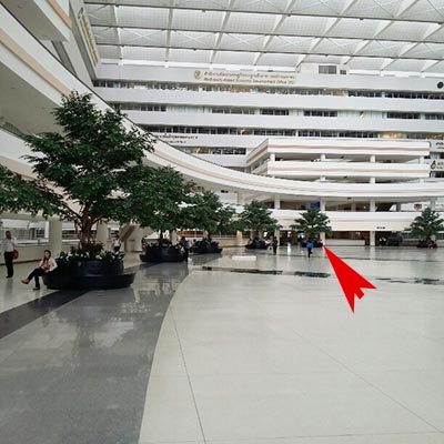 O Extensión de visa para no inmigrantes: cómo extender su estadía por 60 días