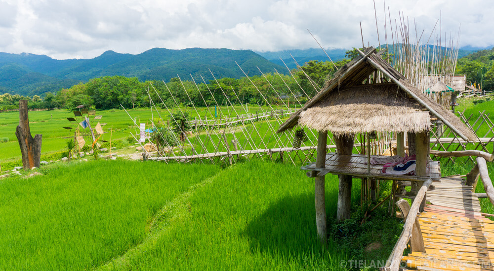 Café en los arrozales de Ban Tai Lue Café