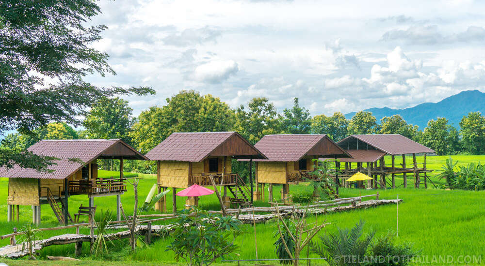 Café en los arrozales de Ban Tai Lue Café