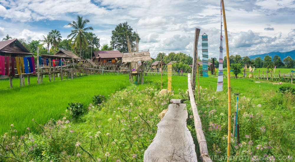 Café en los arrozales de Ban Tai Lue Café