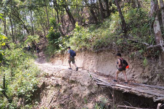 Las 26 mejores rutas de trekking en Tailandia + importantes consejos de seguridad y embalaje