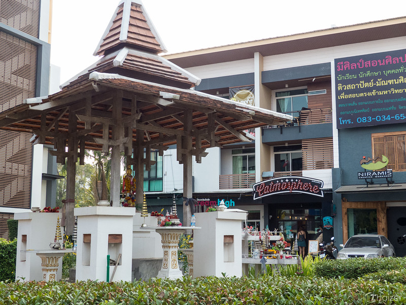 Encuentros cercanos con animales peludos en Catmosphere Cat Cafe, Chiang Mai