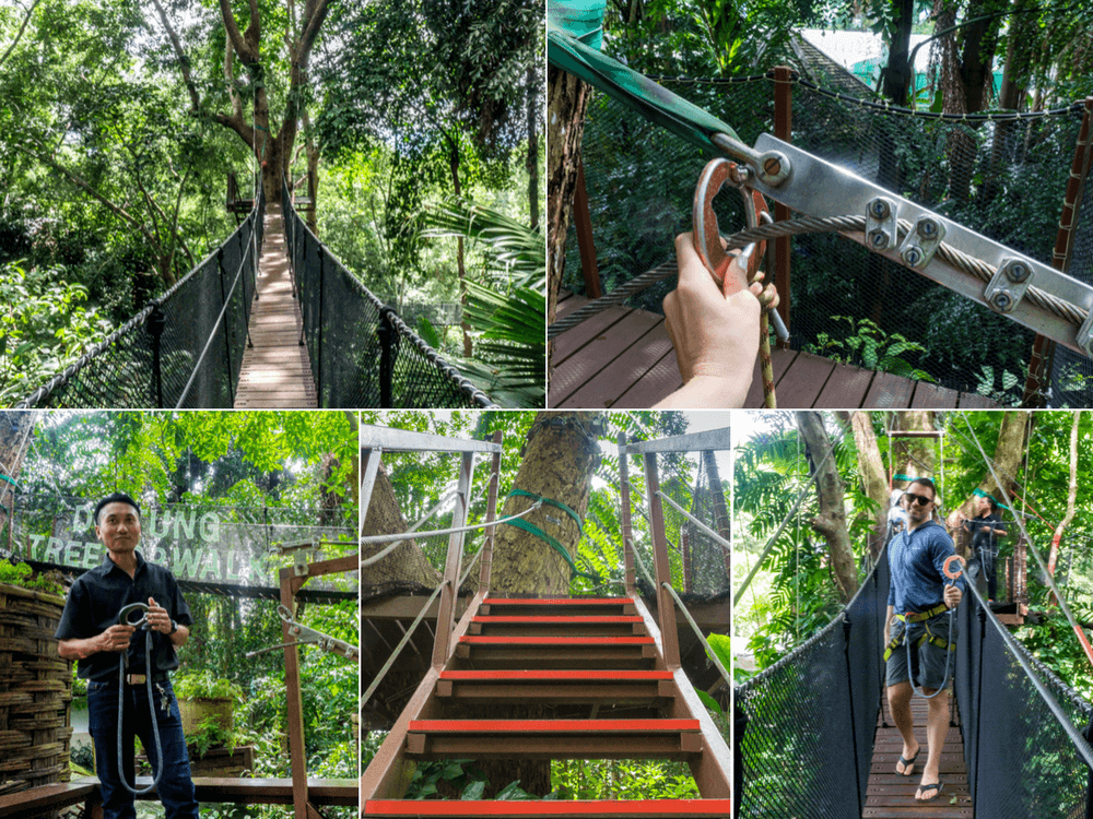 Doi Tung: jardín Mae Fah Luang y pasarela sobre las copas de los árboles