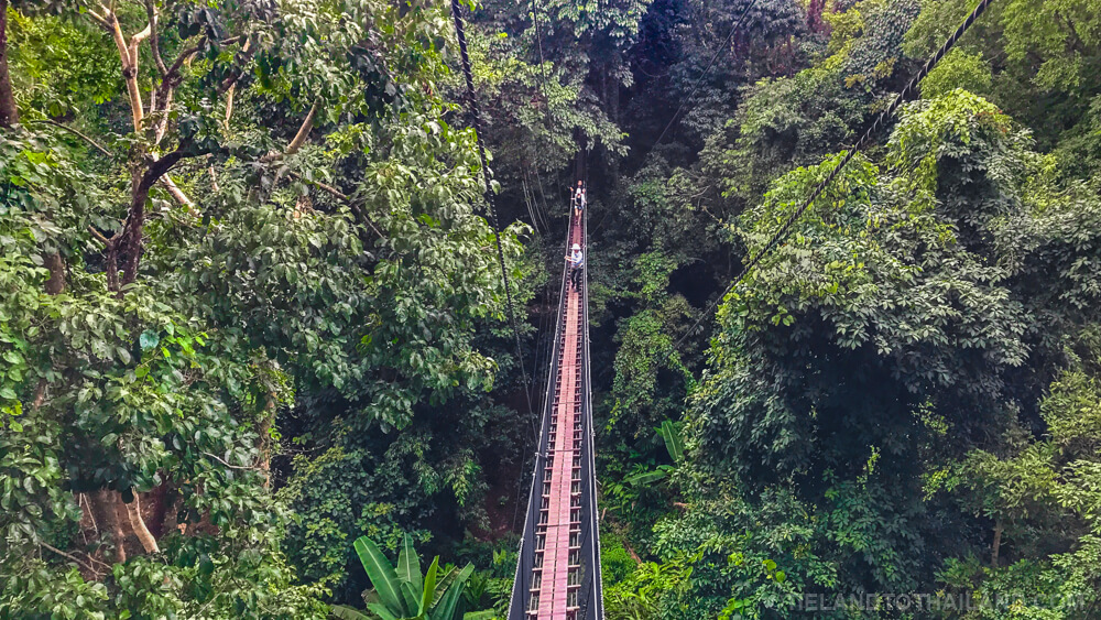 Doi Tung: jardín Mae Fah Luang y pasarela sobre las copas de los árboles