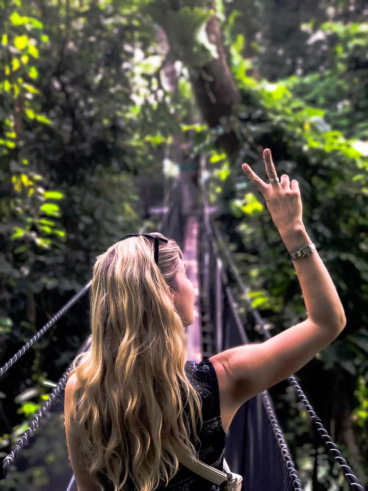 Doi Tung: jardín Mae Fah Luang y pasarela sobre las copas de los árboles