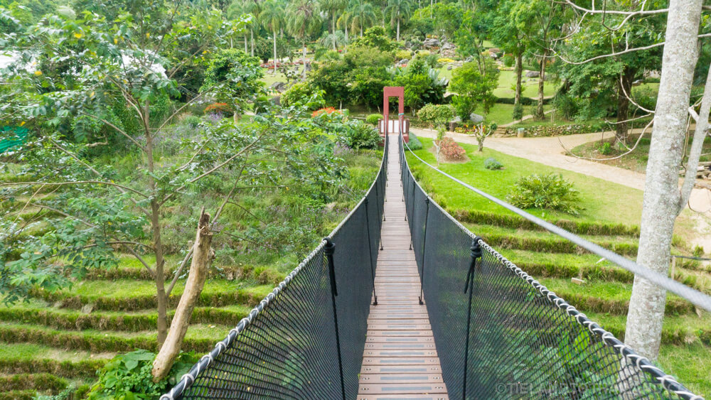 Doi Tung: jardín Mae Fah Luang y pasarela sobre las copas de los árboles
