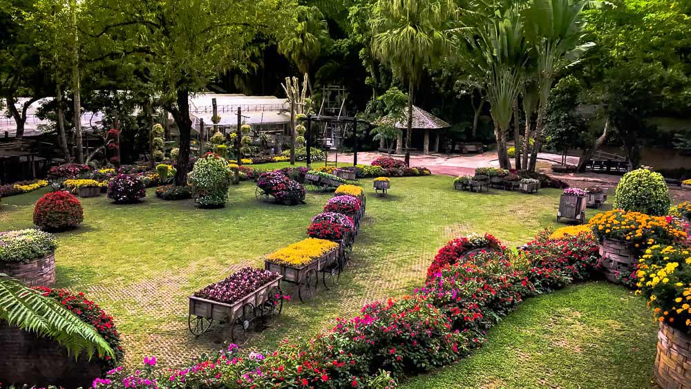 Doi Tung: jardín Mae Fah Luang y pasarela sobre las copas de los árboles